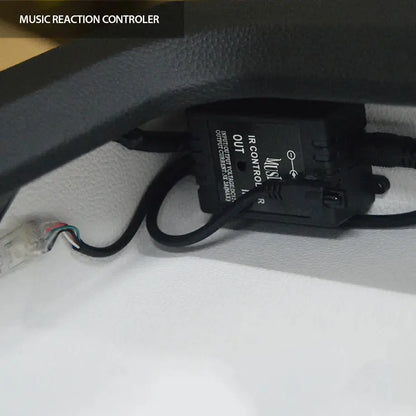 Custom 10" Double Sub-Box Enclosure Street Customs Durban